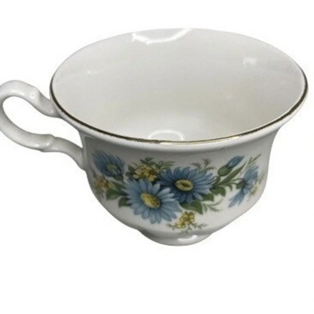 Queen Anne English Bone China Tea Cup Saucer Set Blue Daisy Pattern 8542 Vintage